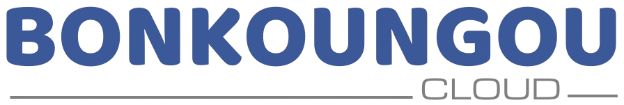 Bonkoungou Technologies